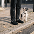Black · out with the dog at the kerb
