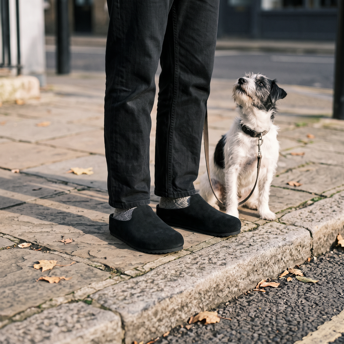 Black · out with the dog at the kerb