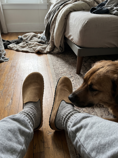 Tan Suede Relief Clog by the bed with a dog